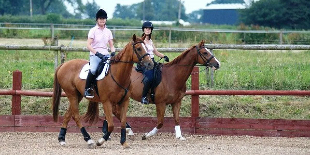 EquiAmi Premium Riding Aid