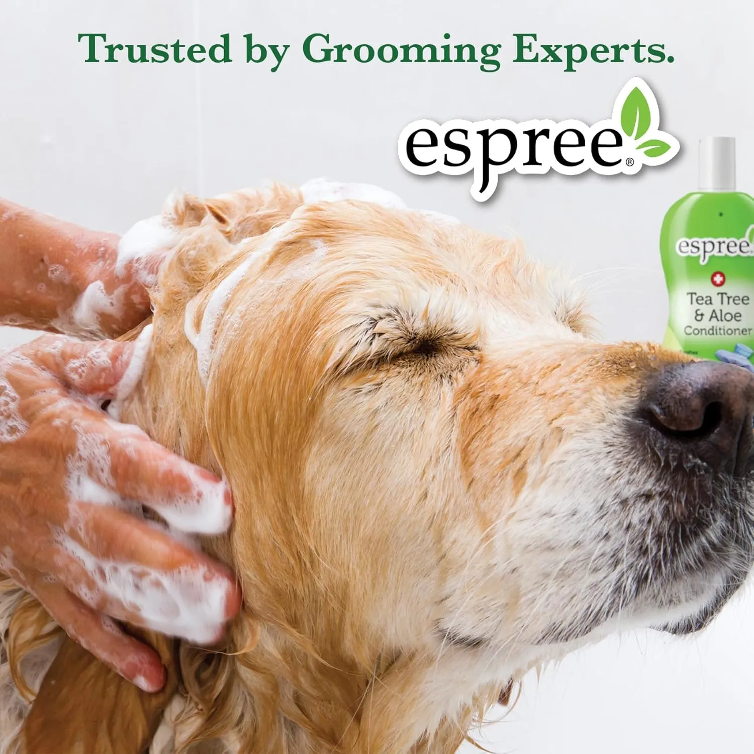 Espree Simple Shed Shampoo, 20 oz,Blue