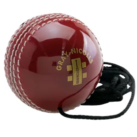 Gray Nicolls Batting Master Leather Ball