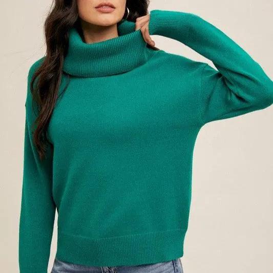 Oh So Soft Turtle Neck