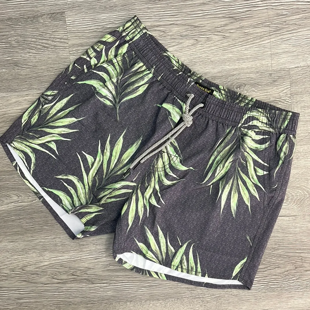 Palm Paradise