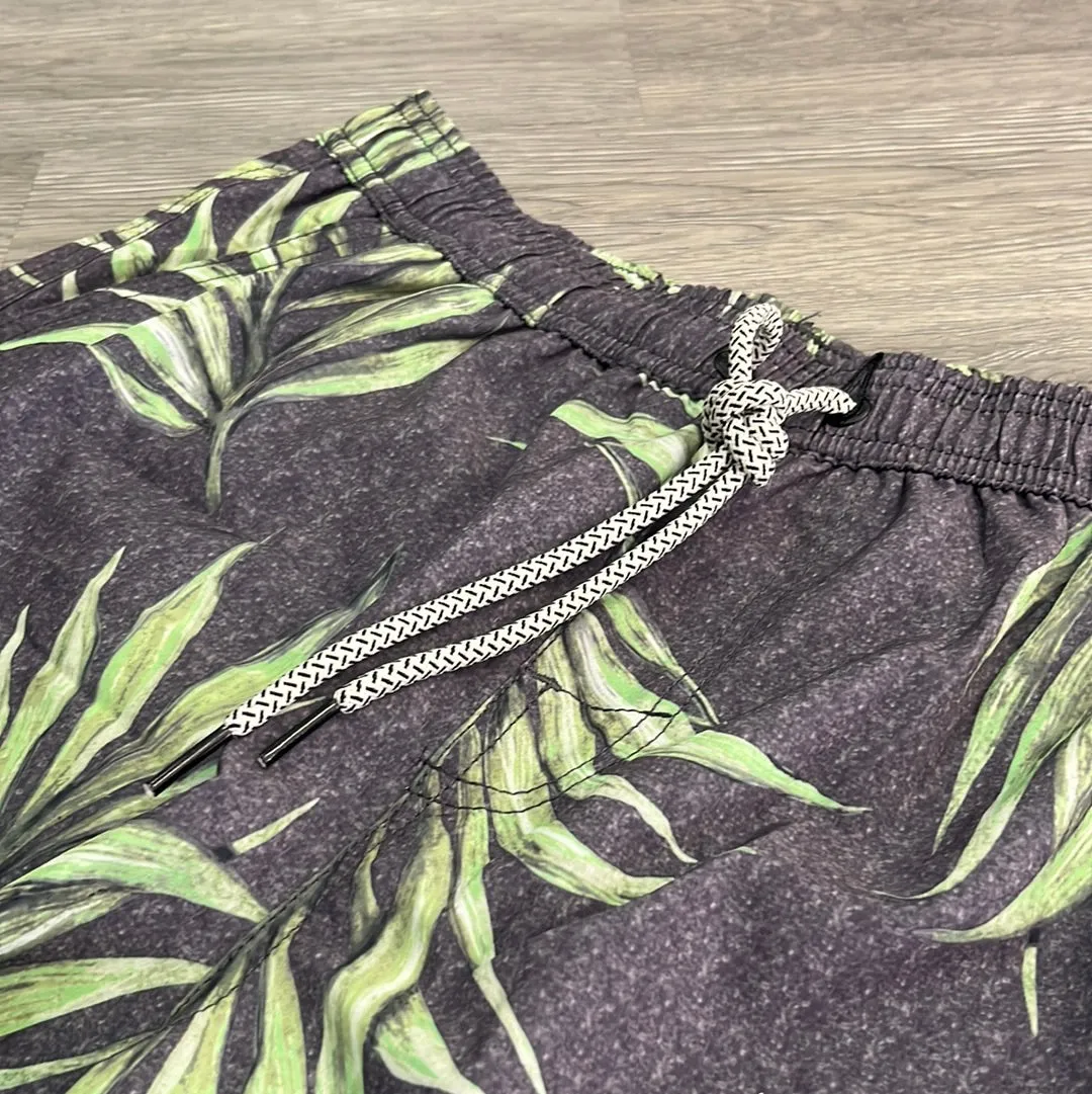Palm Paradise