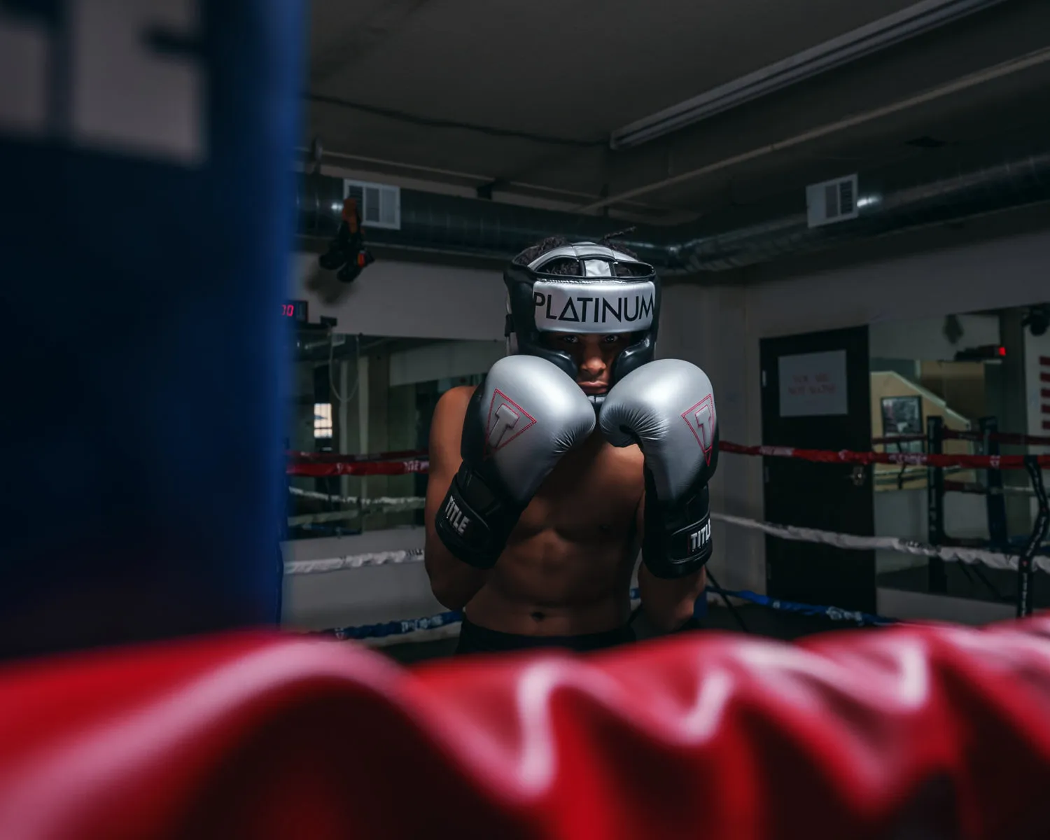 TITLE Platinum Proclaim Boxing Training Gloves