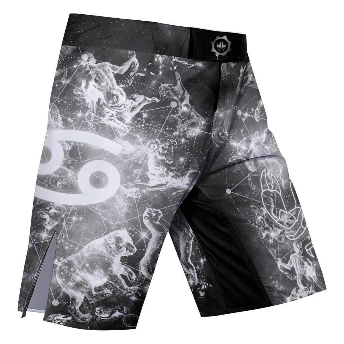 Zodiac Cancer Fight Shorts